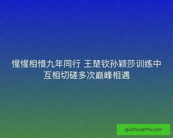 惺惺相惜九年同行 王楚钦孙颖莎训练中互相切磋多次巅峰相遇
