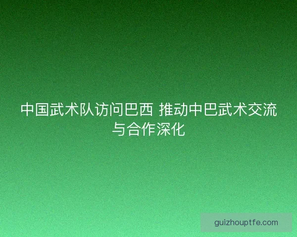中国武术队访问巴西 推动中巴武术交流与合作深化