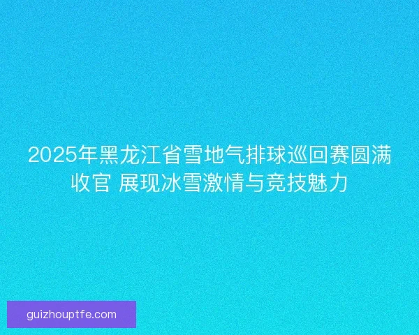 2025年黑龙江省雪地气排球巡回赛圆满收官 展现冰雪激情与竞技魅力